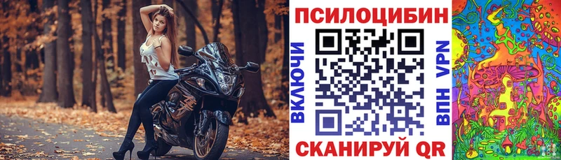 Галлюциногенные грибы Psilocybine cubensis  Купить  Мурманск 