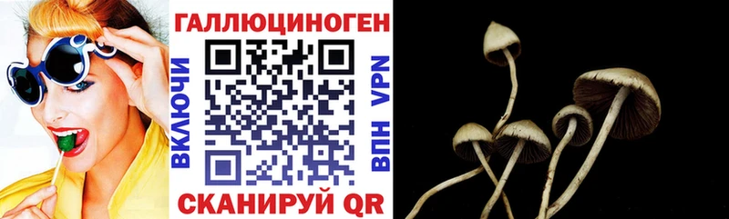 Псилоцибиновые грибы GOLDEN TEACHER Мурманск